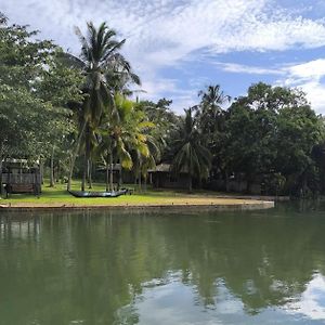 Yonan River Face Safari Resort